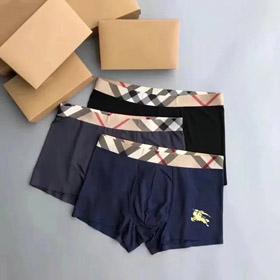 Burberry boxer briefs-4931  